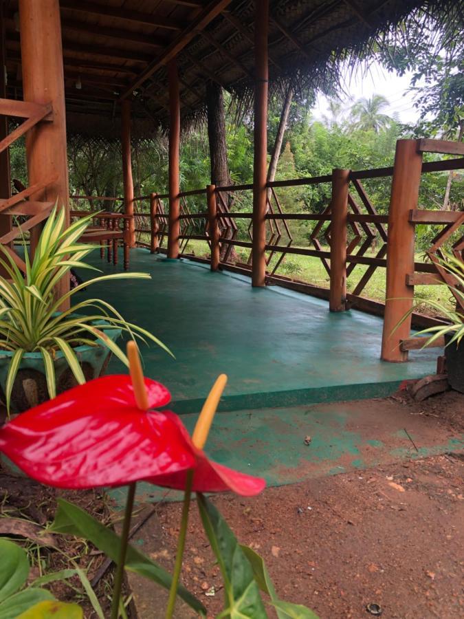 סיגירייה Sigiri Lion Eco Palace מראה חיצוני תמונה