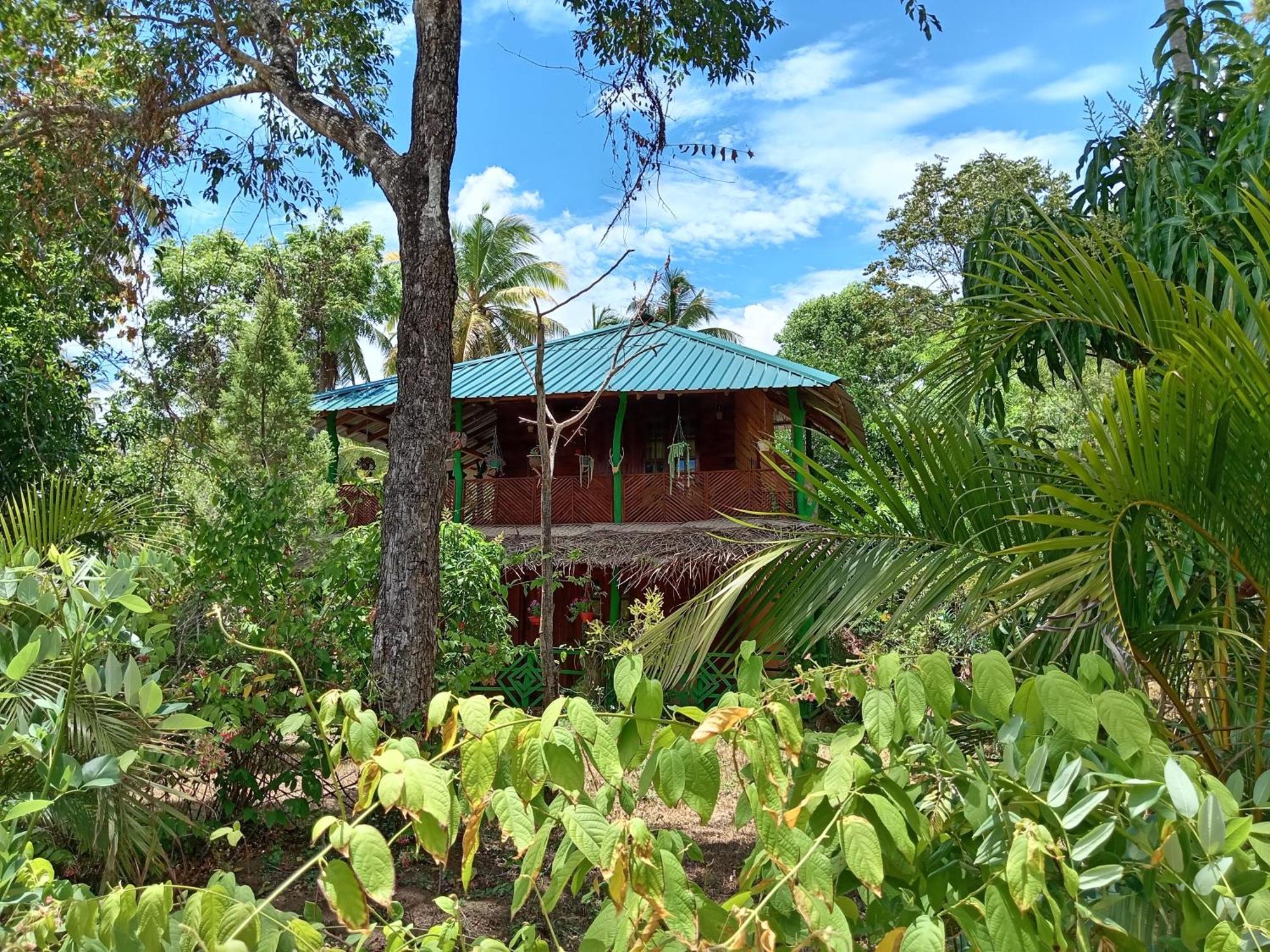 סיגירייה Sigiri Lion Eco Palace מראה חיצוני תמונה