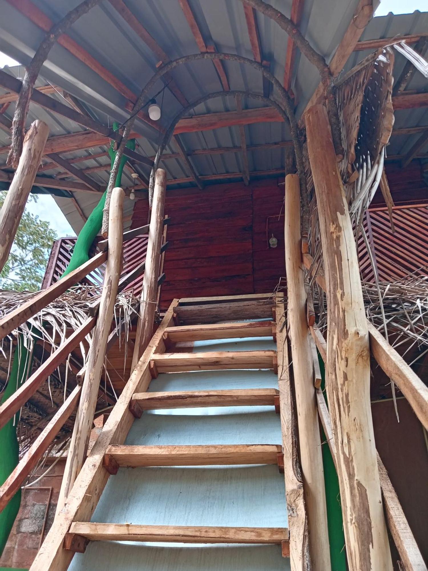 סיגירייה Sigiri Lion Eco Palace מראה חיצוני תמונה